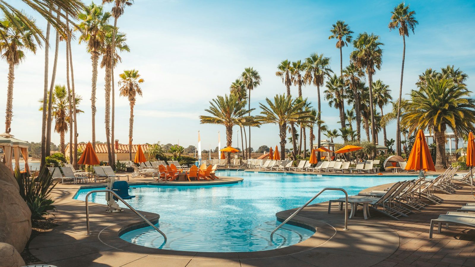 swimming pool near palm trees during daytime